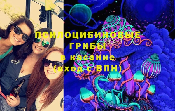 Альфа ПВП Горняк