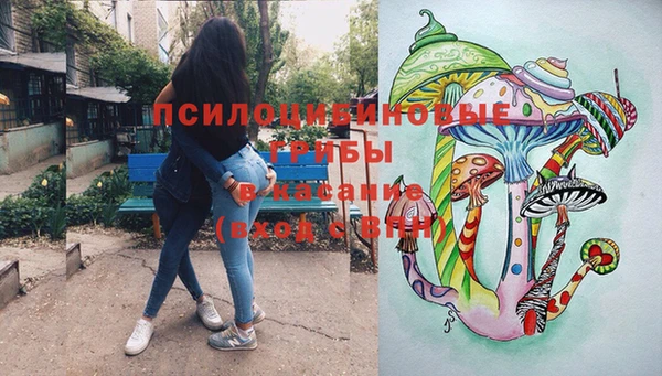 мдпв Абдулино