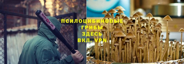 бошки Абинск