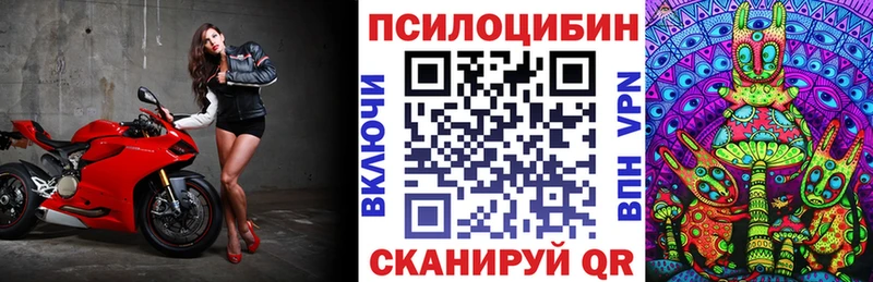 купить  сайты  blacksprut ONION  Псилоцибиновые грибы ЛСД  Дальнереченск 